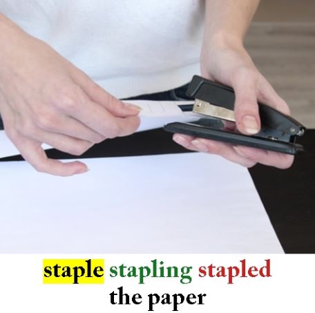 Staple2